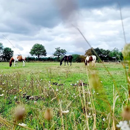 Vakantiehuis De L'archerie Classe 4 Etoiles, 9 Personnes Saint-Lambert-la-Potherie