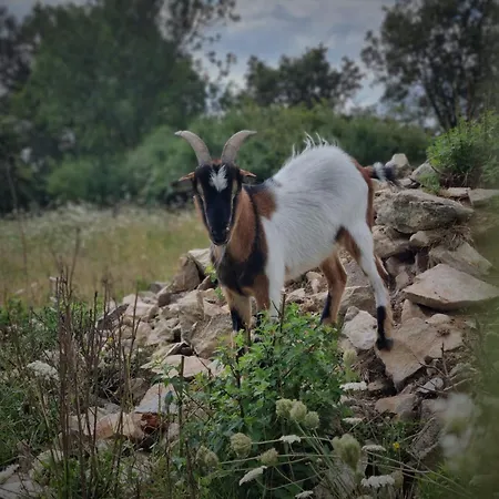 De L'archerie Classe 4 Etoiles, 9 Personnes * Saint-Lambert-la-Potherie