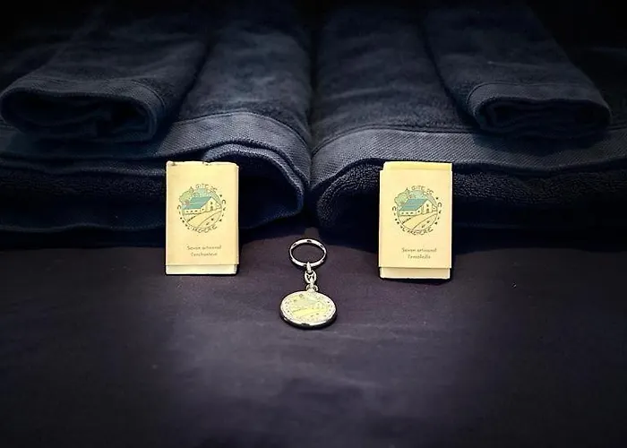 De L'archerie Classe 4 Etoiles, 9 Personnes *