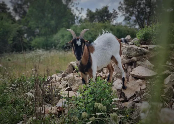 De L'archerie Classe 4 Etoiles, 9 Personnes * Saint-Lambert-la-Potherie